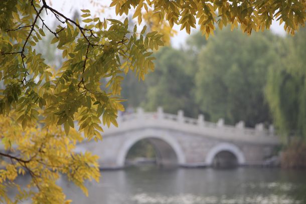 Verven ja terveydenhuollon yhteistyö toimintakykykuntoutuksessa toimii viestinnällisenä siltana.