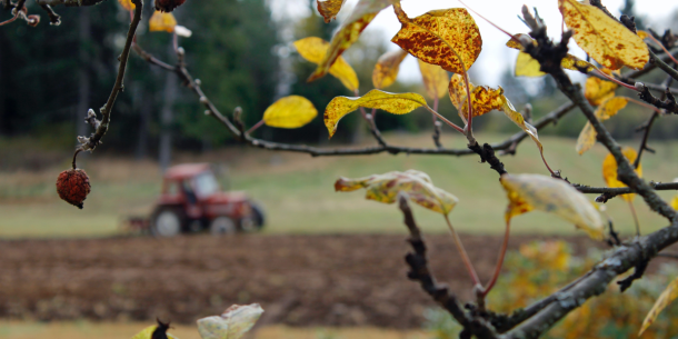 Traktori pellolla. Uusi ammatti vakuutuskuntoutuksen avulla.